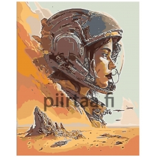 Maalaa numeroilla A5II-AF1317