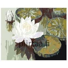 Maalaa numeroilla A5II-AF2210