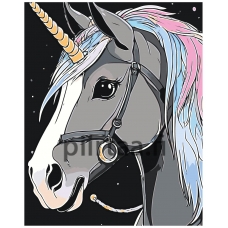 Maalaa numeroilla A5II-IF208