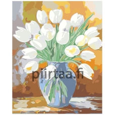 Maalaa numeroilla A5II-IF272