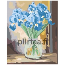 Maalaa numeroilla A5II-IF273