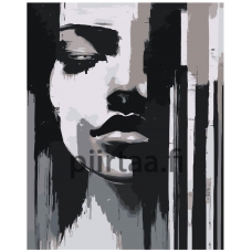 Maalaa numeroilla A5II-IF337