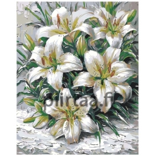 Maalaa numeroilla A5II-IF482