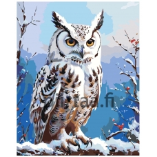 Maalaa numeroilla A5II-IF485