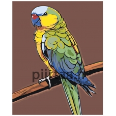 Maalaa numeroilla A5II-JP378