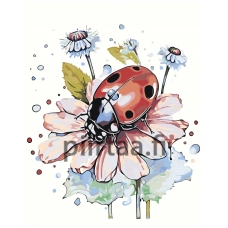 Maalaa numeroilla A5II-NK41