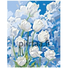 Maalaa numeroilla A5II-NK534