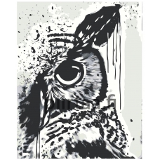 Maalaa numeroilla A5II-NK542