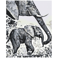 Maalaa numeroilla A5II-NK55