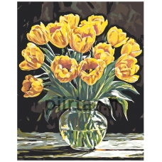 Maalaa numeroilla A5II-NK643