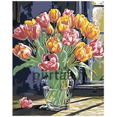 Maalaa numeroilla A5II-NK644