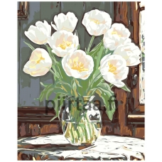 Maalaa numeroilla A5II-NK646