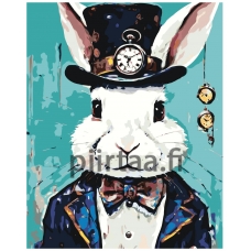 Maalaa numeroilla A5II-NK658