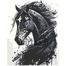 Maalaa numeroilla A5II-NK661