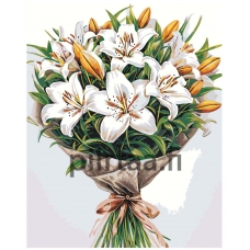 Maalaa numeroilla A5II-SN60