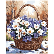 Maalaa numeroilla A5II-SN78