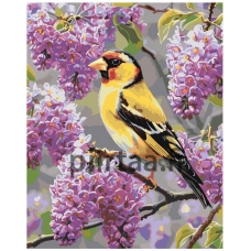 Maalaa numeroilla A5II-SN86