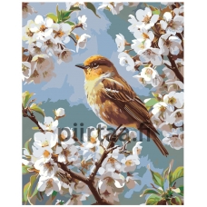 Maalaa numeroilla A5II-SN91