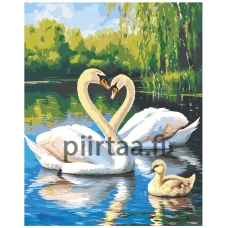 Maalaa numeroilla A5II-TN111