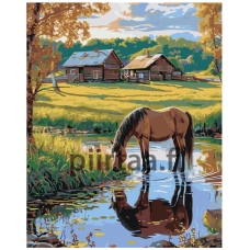 Maalaa numeroilla A5II-TN118