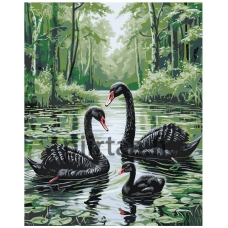 Maalaa numeroilla A5II-TN54