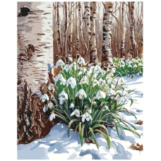 Maalaa numeroilla A5II-TN67