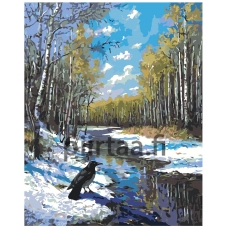 Maalaa numeroilla A5II-TN71