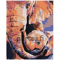 Maalaa numeroilla A601