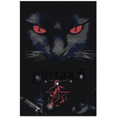 Maalaa numeroilla A602