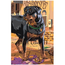 Maalaa numeroilla A603