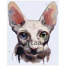 Maalaa numeroilla A606