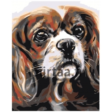 Maalaa numeroilla A66