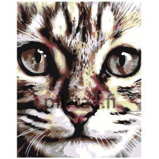 Maalaa numeroilla A67