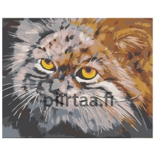 Maalaa numeroilla A84