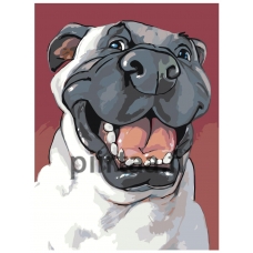 Maalaa numeroilla A97