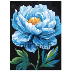 Maalaa numeroilla AAAA-NK024