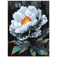 Maalaa numeroilla AAAA-NK025