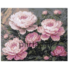 Maalaa numeroilla AAAA-NK637