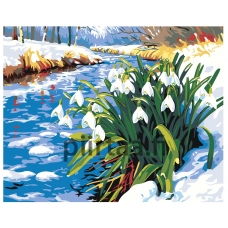 Maalaa numeroilla AAAA-NK690