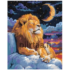 Maalaa numeroilla AAAA-NK705