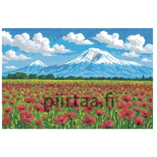 Maalaa numeroilla AAAA-NK841