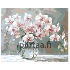 Maalaa numeroilla AAAA-NK929