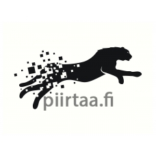 Maalaa numeroilla AAAA-Q2381