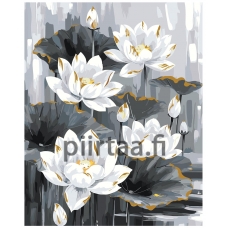 Maalaa numeroilla AAAA-ST0081