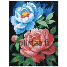 Maalaa numeroilla AAAA-ST0306