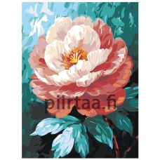 Maalaa numeroilla AAAA-ST0308