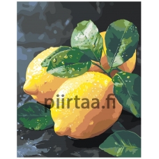 Maalaa numeroilla AAAA-ST0418