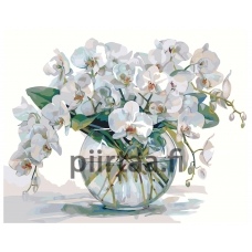 Maalaa numeroilla AAAA-ST0424