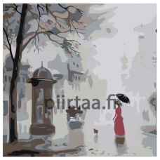 Maalaa numeroilla AB06