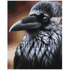 Maalaa numeroilla ADDA-2024300537